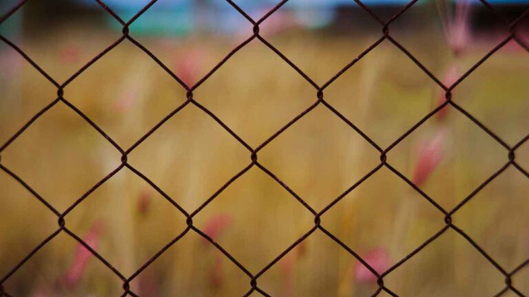 Fance during sunset dalton