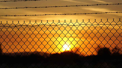 Why Chain Link Fencing Remains a Top Security Choice