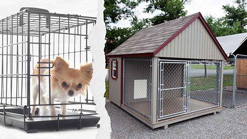 How to Customize A Chain Link Dog Kennel